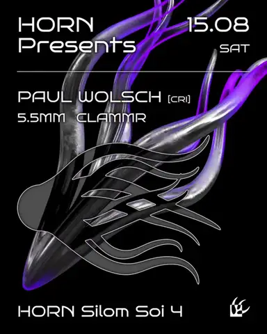 HORN Presents Paul Wolsch
